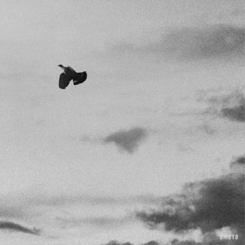 Why Don't I Need People?